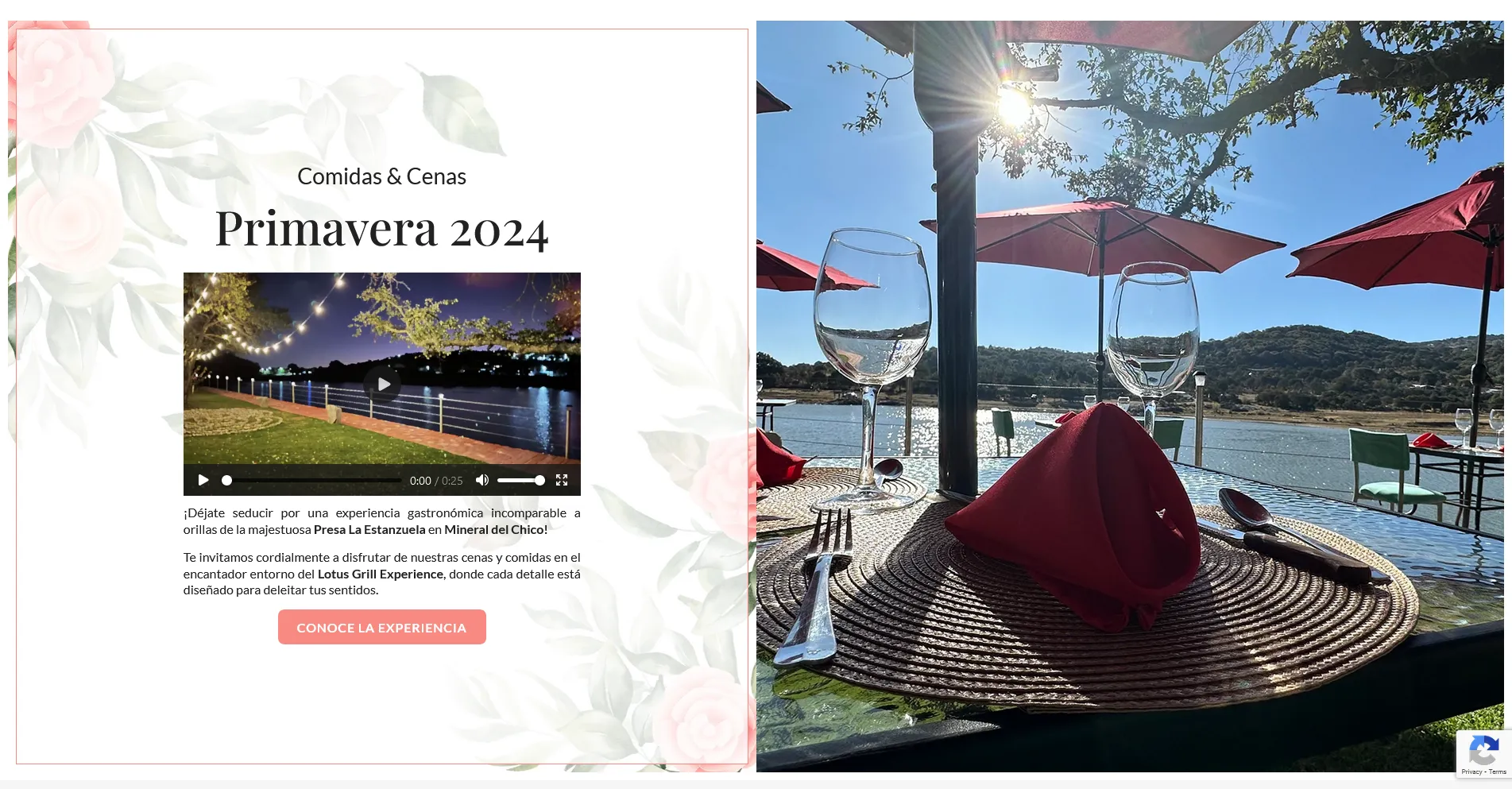 Lotus Grill Experience Web Development, SEO and Graphic Design